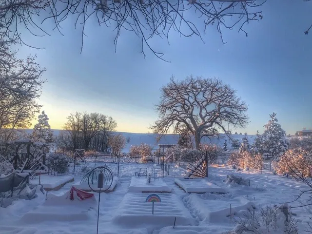 Harmony Village community spaces blanketed in snow at sunrise with shared gardens, playground, and gathering areas