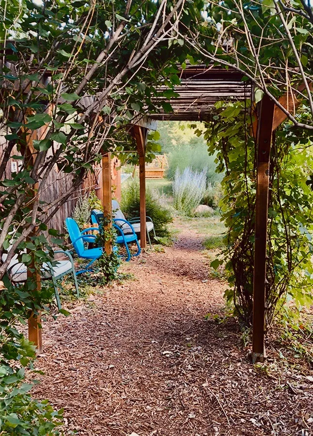 Shaded garden path with wooden pergola covered in climbing vines, blue Adirondack chairs visible in the distance