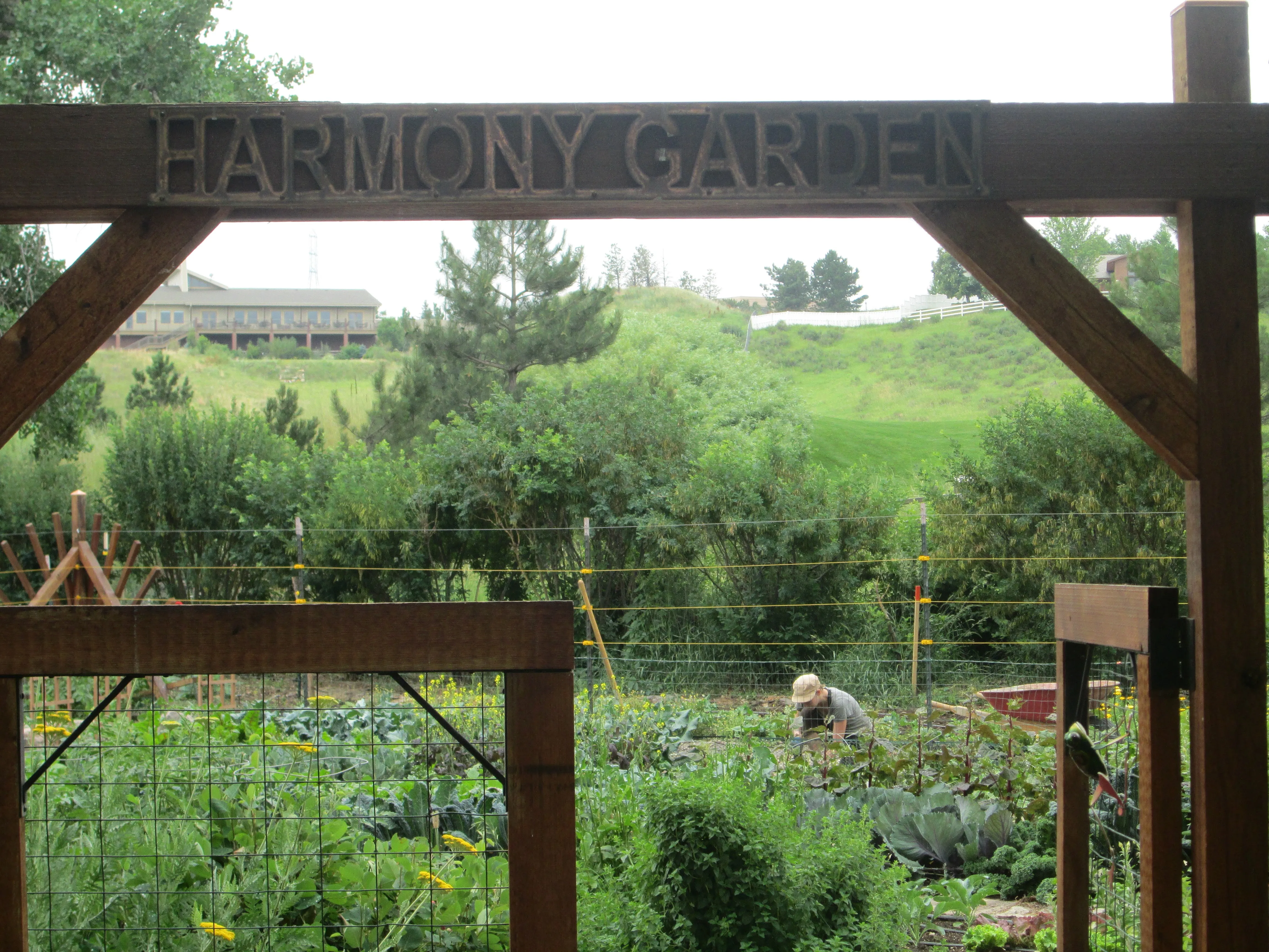 Harmony Garden entry pergola with garden beds and mountain views beyond