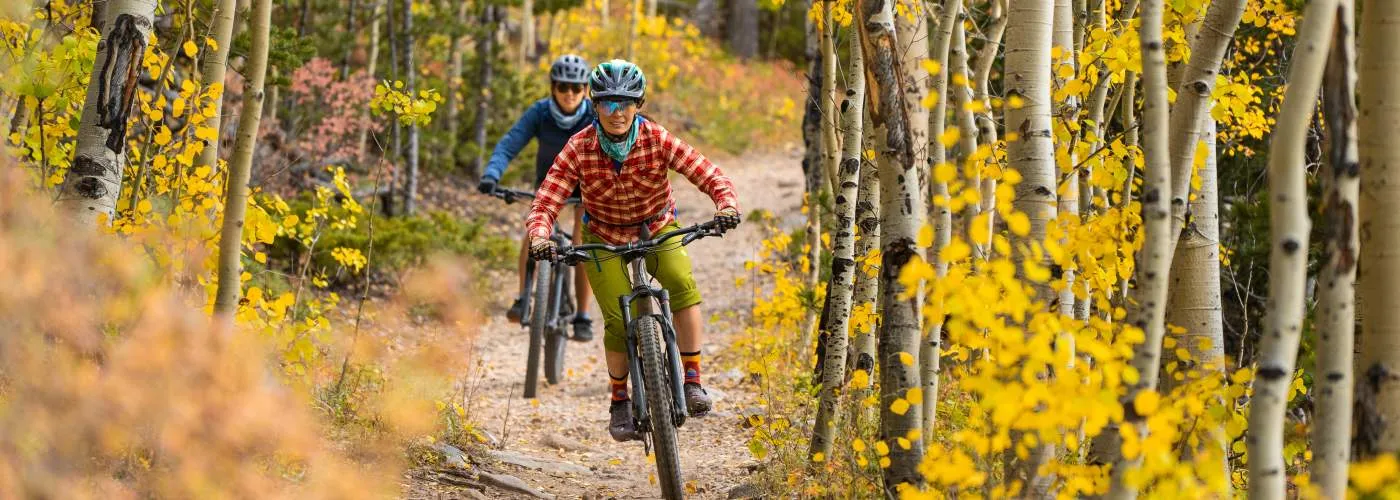 Two mountain bikers weaving through golden aspens on a singletrack trail.