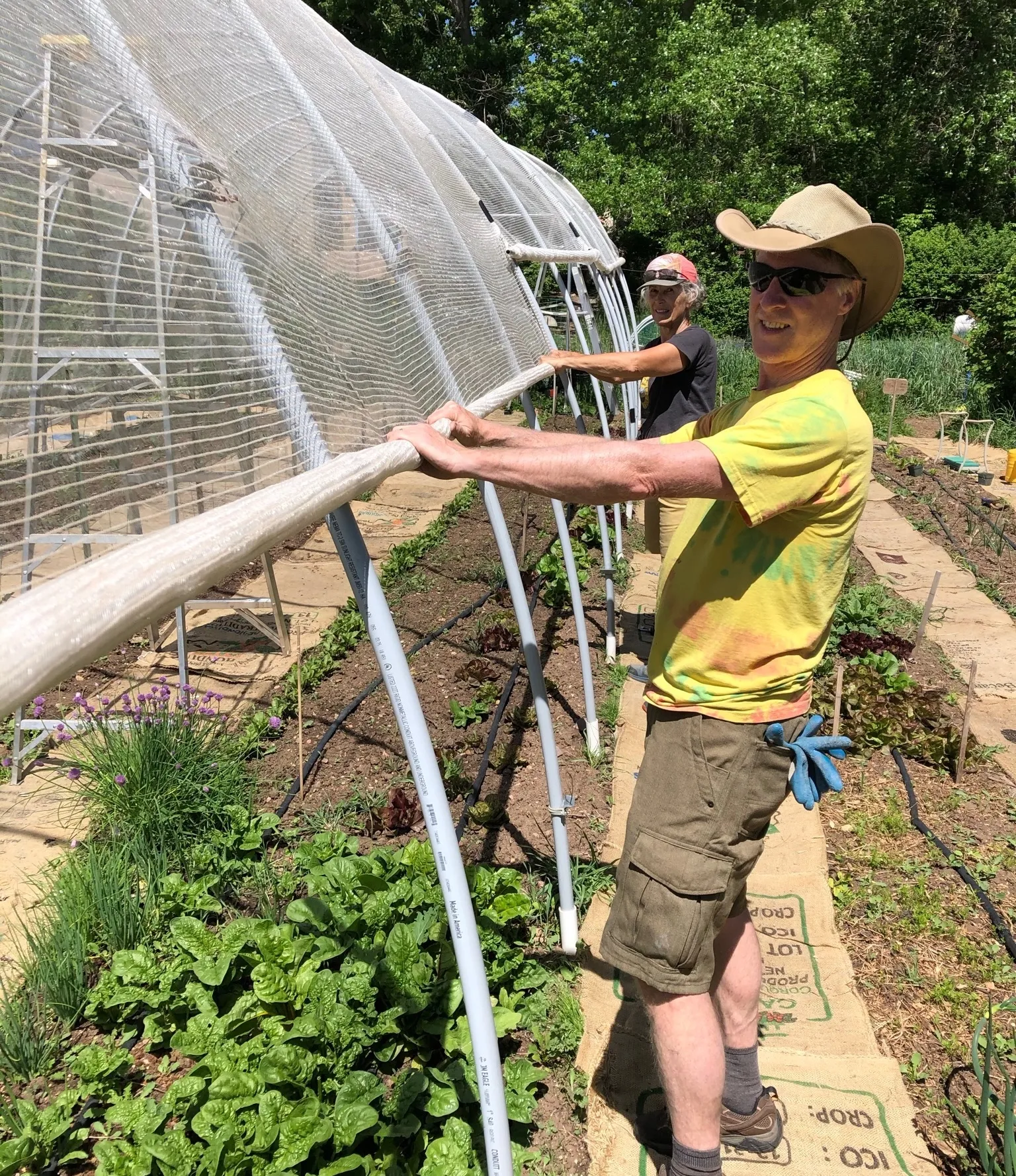 Residents working together in the community garden tending to plants and protective garden structures