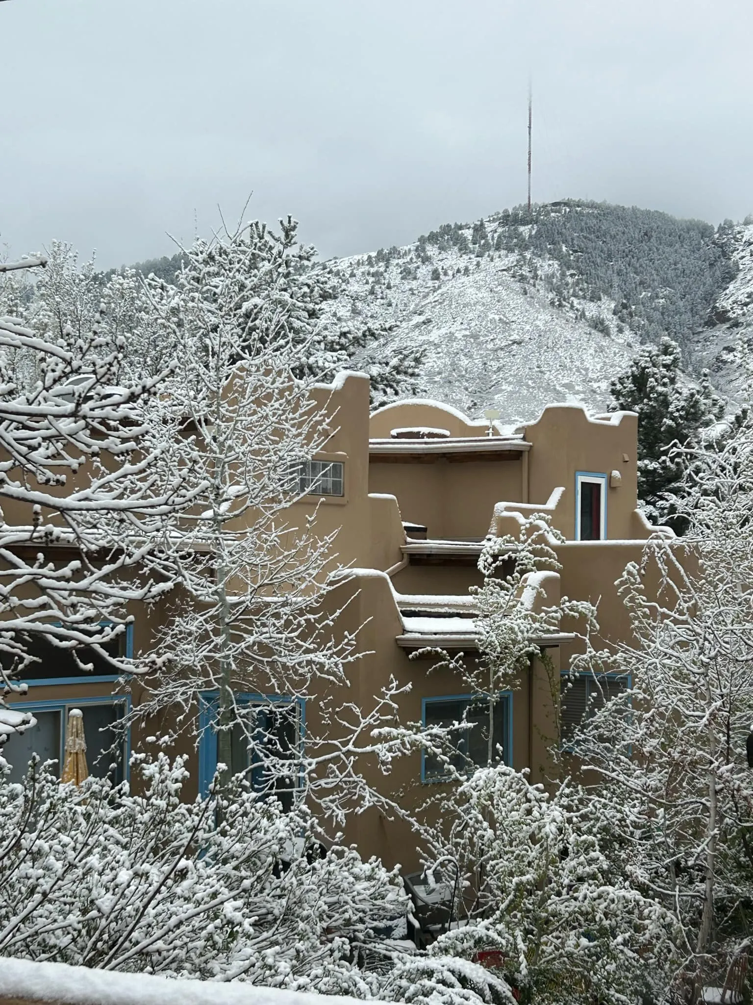 Harmony Village townhome nestled among snow-covered trees with Lookout Mountain in the background